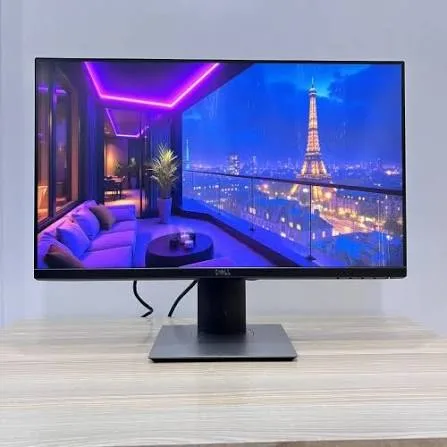 Dell P2425H 24-Inch Full HD IPS 100Hz Monitor with USB Hub in Kenya | City Gadgets Kenya